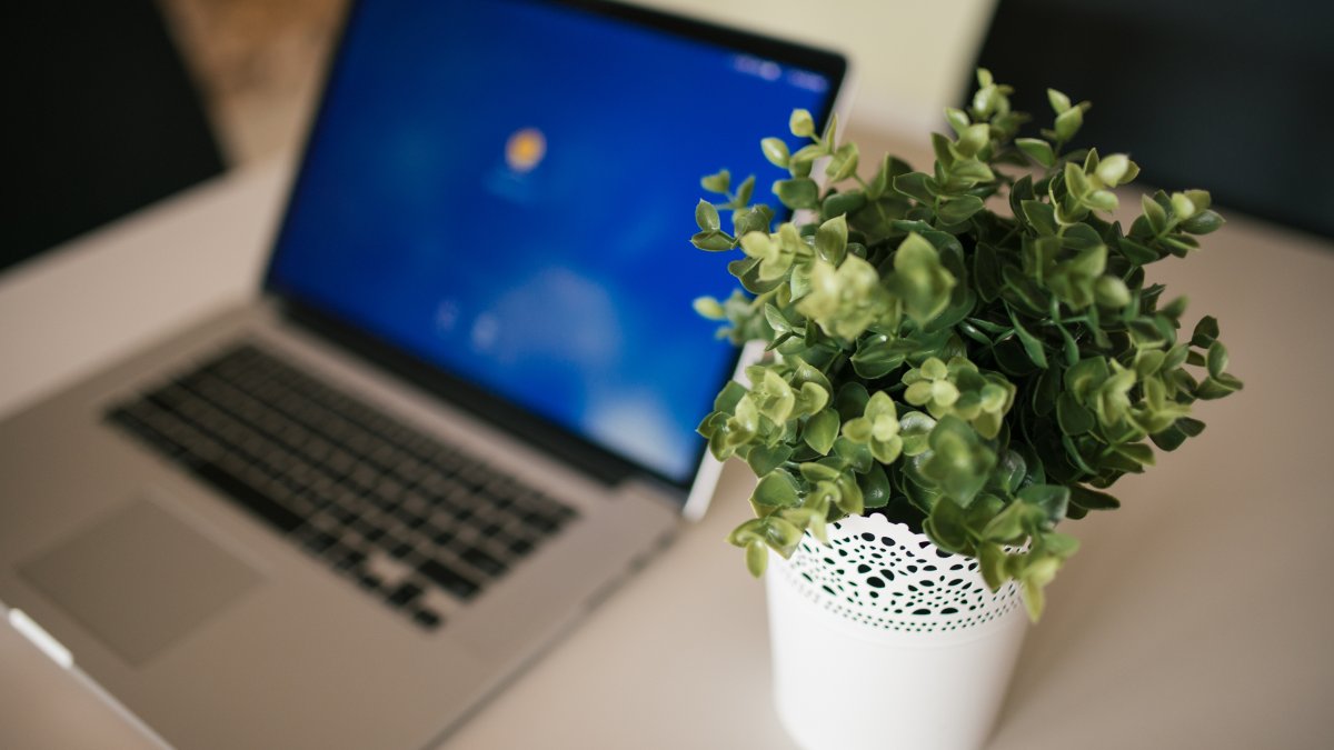 DeepSeek Puts Its Agent on the Desktop: Harness v0.2 Preview Ships Ready-to-Run macOS and Windows Apps With a 6-Yuan Credit Sweetener