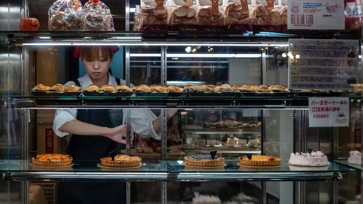 Google Turns Gemini Into a Small Business Hub With Brand Kits, Financial Charts and Links to Shopify and Canva