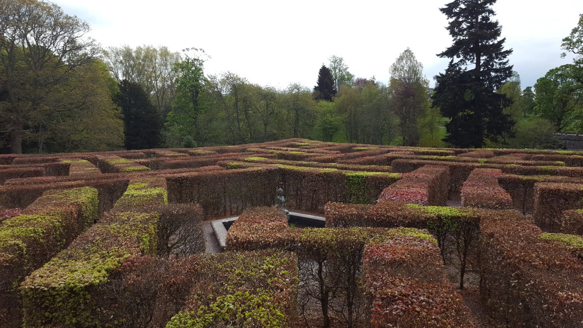 LeCun's AMI Ships Its First Paper: H-JEPA Lifts Maze Success From 18% to 73%, With Weights Open