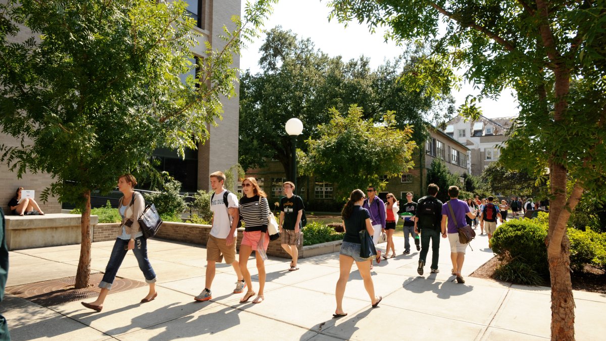 US Computer Science Enrollment Fell 12.4 Percent This Fall, the Steepest Drop of Any Field
